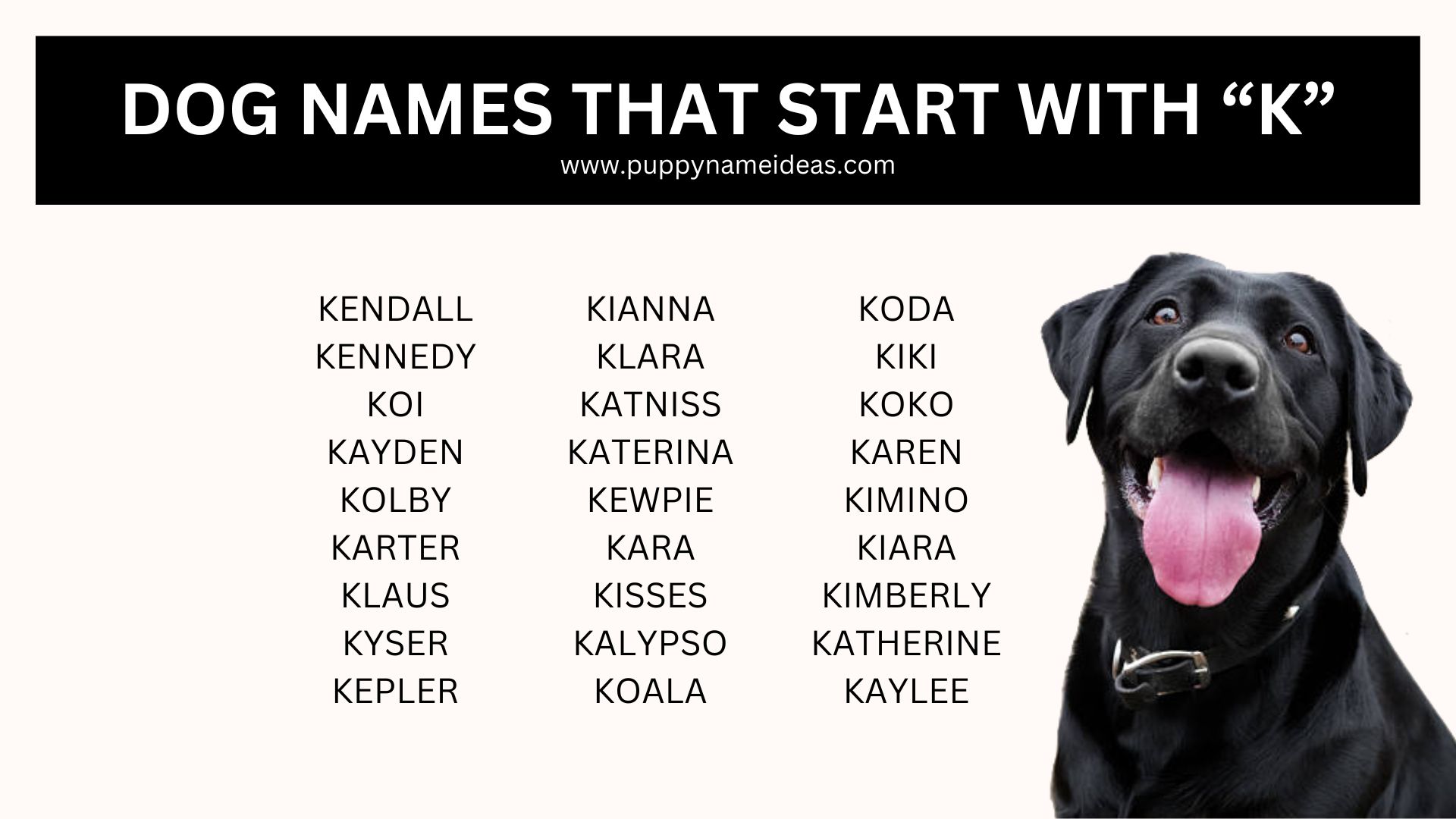Dog Names That Start With K Puppy Name Ideas