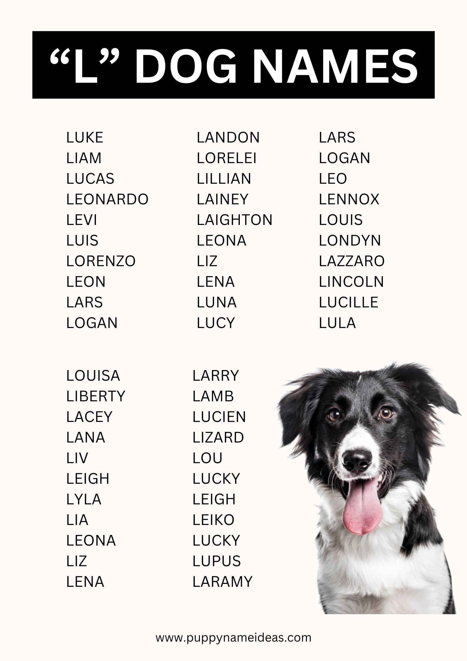 Dog Names That Start With L Puppy Name Ideas