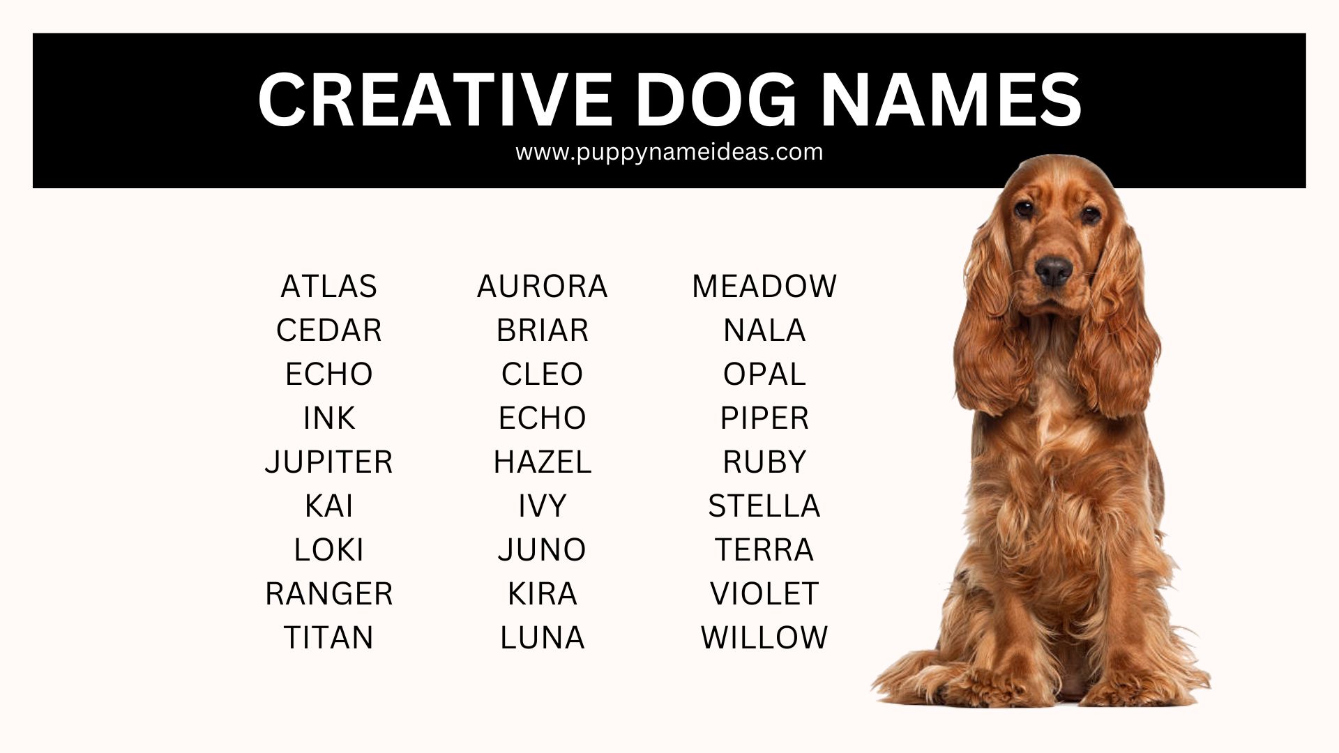 200+ Creative Dog Names Puppy Name Ideas