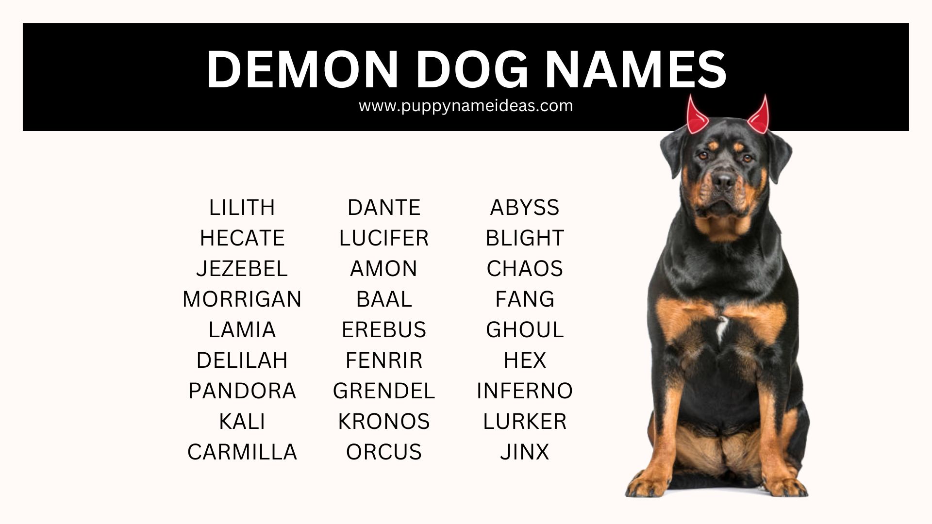 240+ Demon Dog Names Puppy Name Ideas