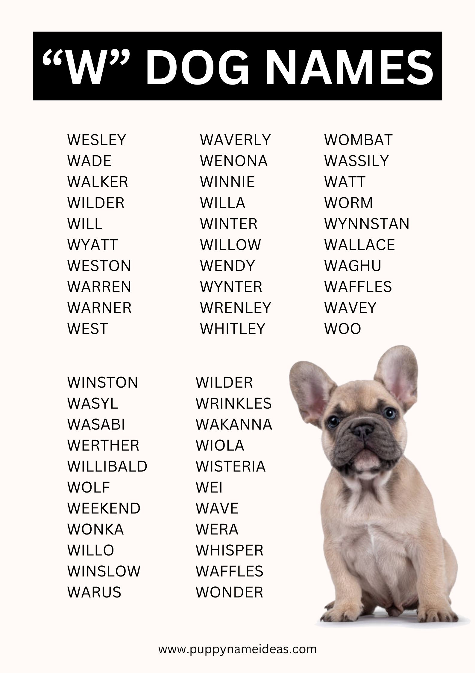 Dog Names That Start With W Puppy Name Ideas
