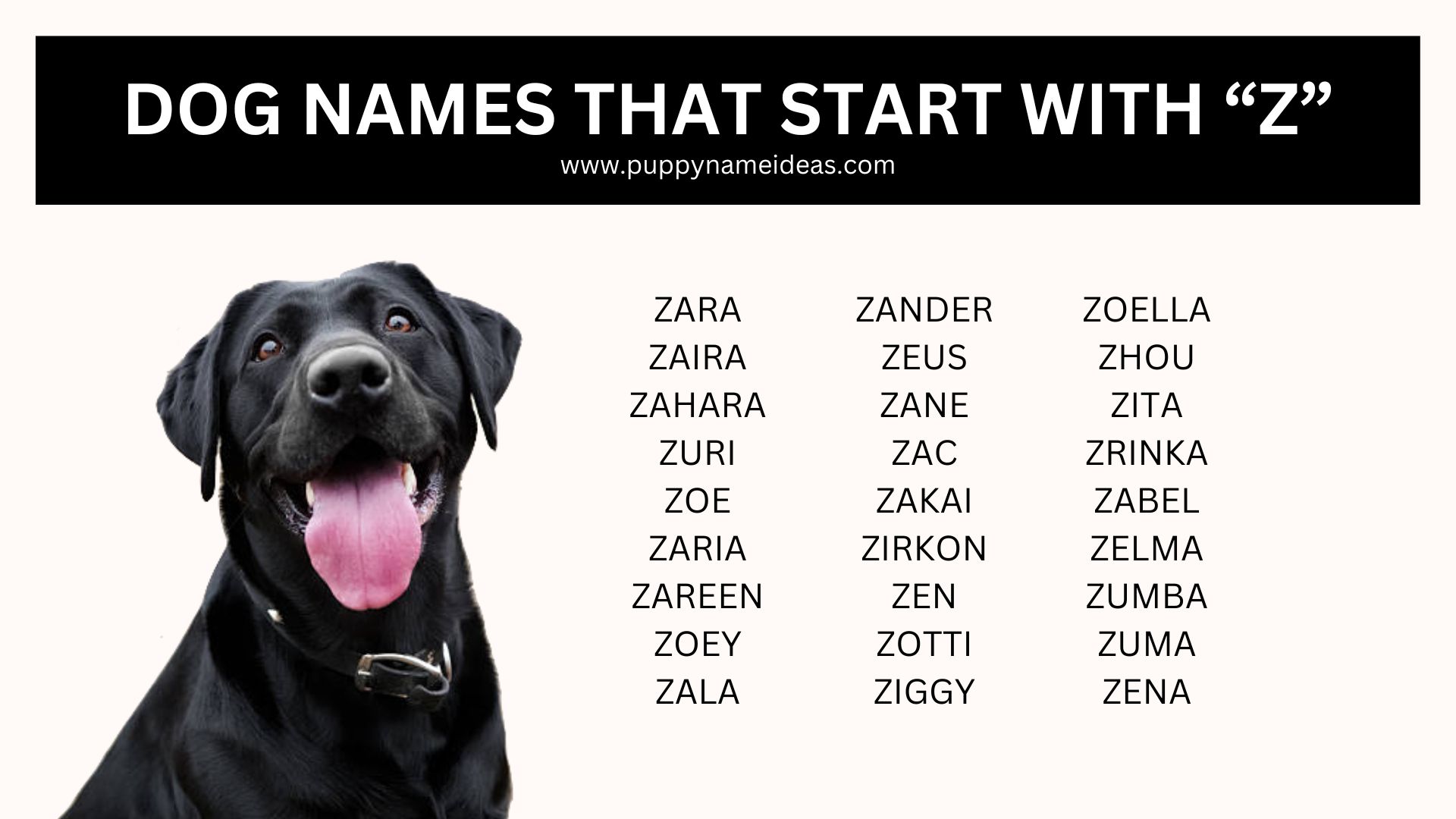 Alphabet Names Puppy Name Ideas
