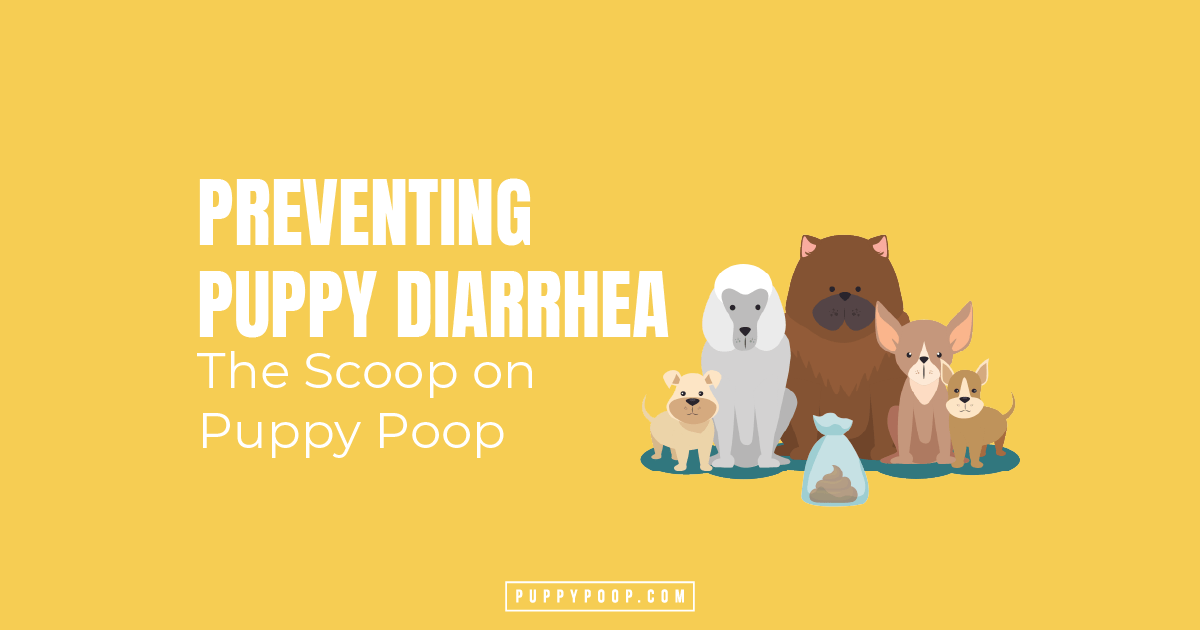 Puppy Diarrhea Prevention and Keeping Them Healthy in The First Months
