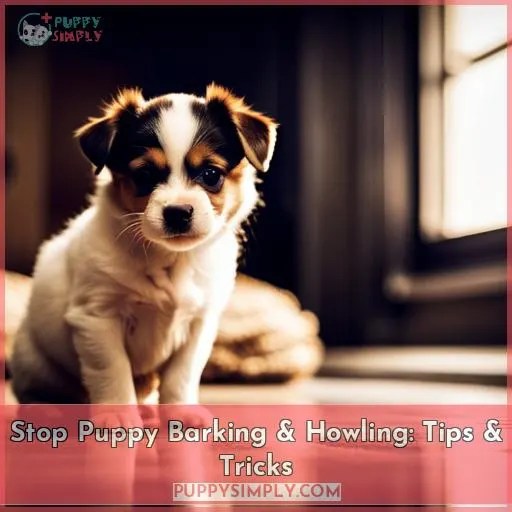 Stop Puppy Barking & Howling Tips & Tricks