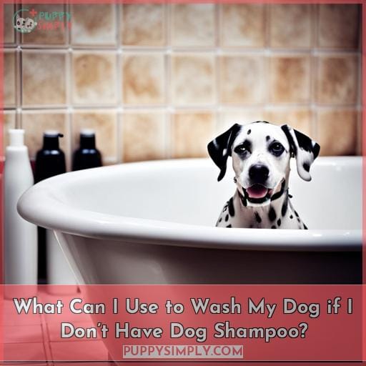 Top 10 Best Dog Shampoos Vet Preferred Choices