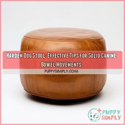 Harden Dog Stool Effective Tips for Solid Canine Bowel Movements