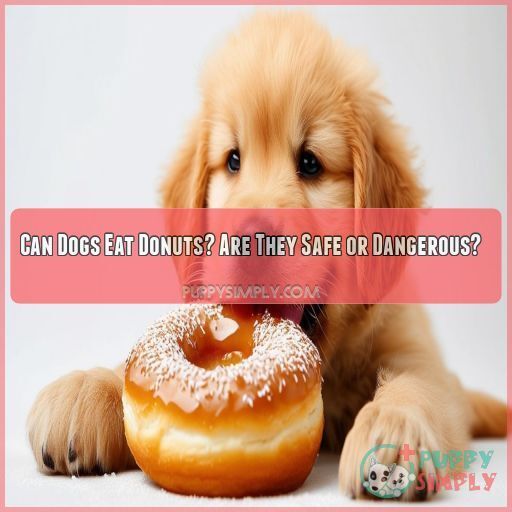 Can Dogs Eat Donuts? Are They Safe or Dangerous?
