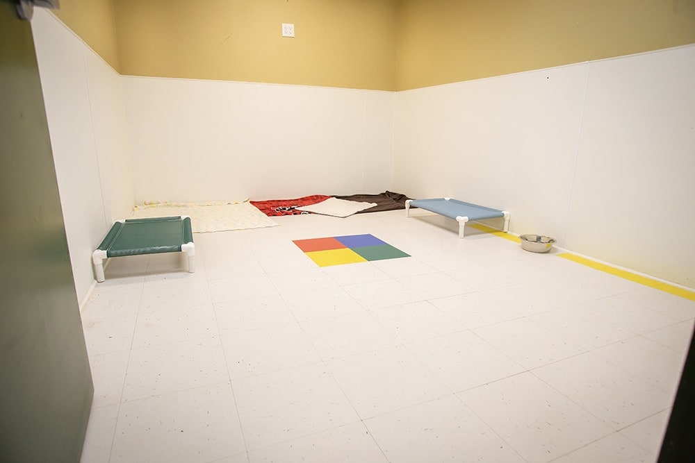 Dog Boarding Cary NC Dog Boarding in Raleigh Dog Boarding Durham