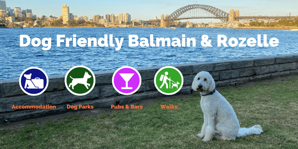 PET FRIENDLY SYDNEY Pupsy