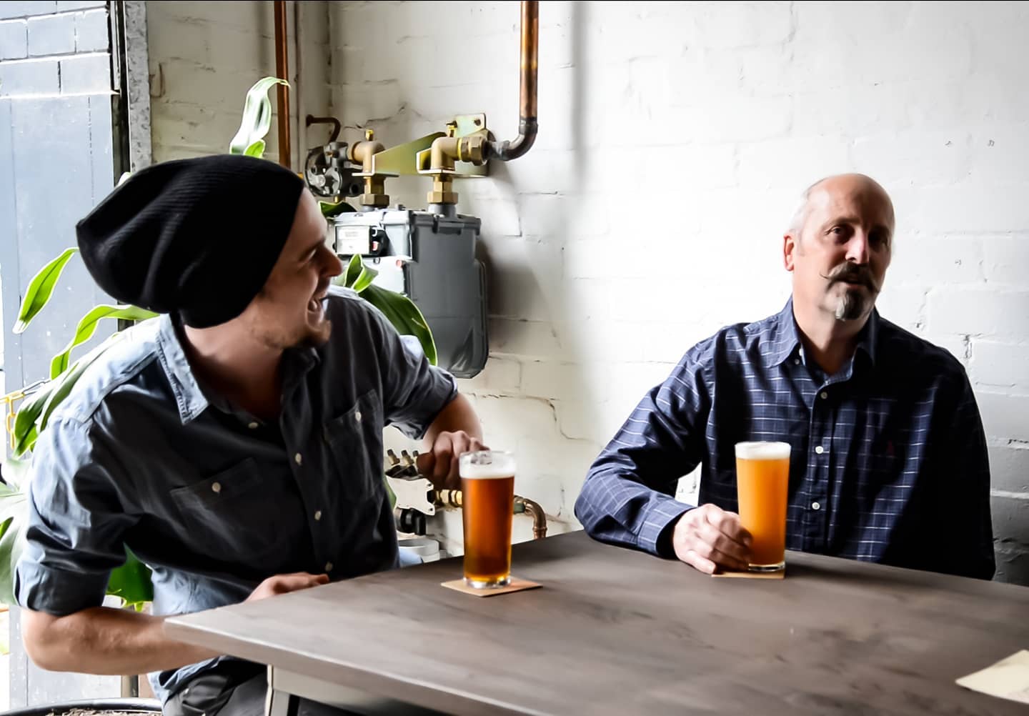 Bracket Brewing Dog Friendly Brewery in Alexandria Pupsy