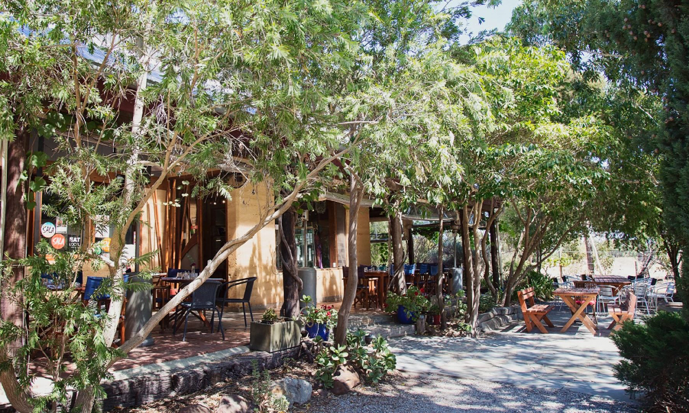 16 Best Dog Friendly Wineries and more in McLaren Vale PUPSY