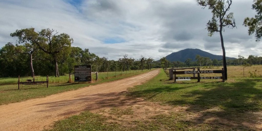 Top 15 Dog Friendly Camping Grounds in Queensland Pupsy
