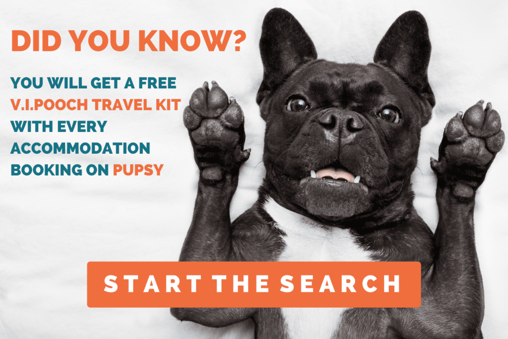 Dog Friendly Barossa Valley PUPSY