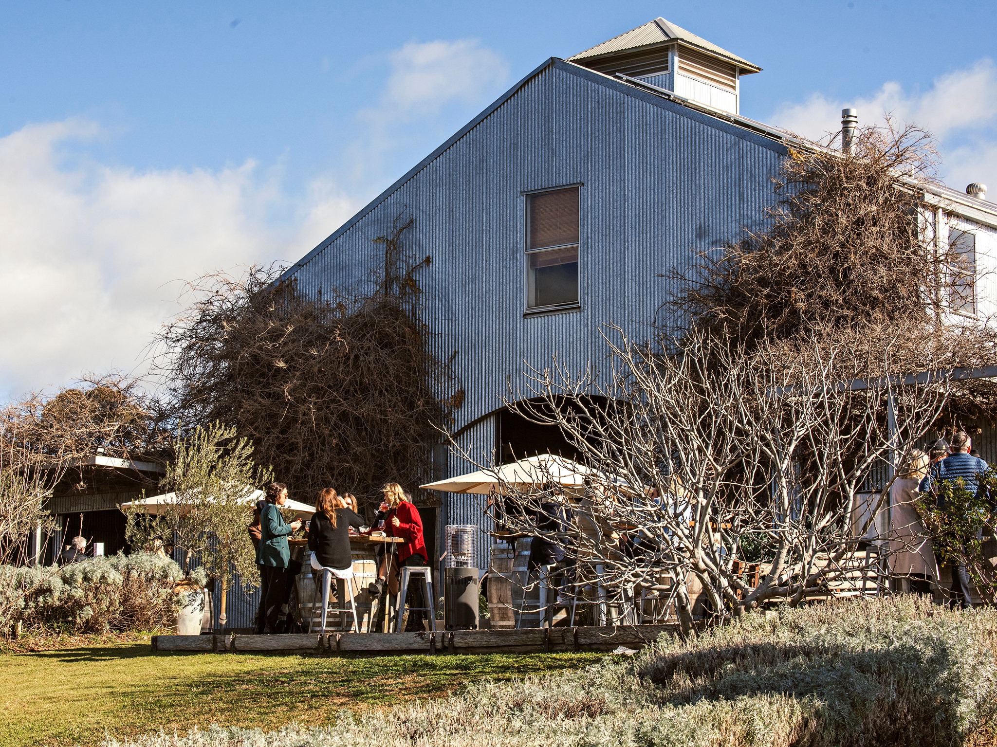 Lowe Family Wines Dog Friendly Winery in Mudgee Pupsy