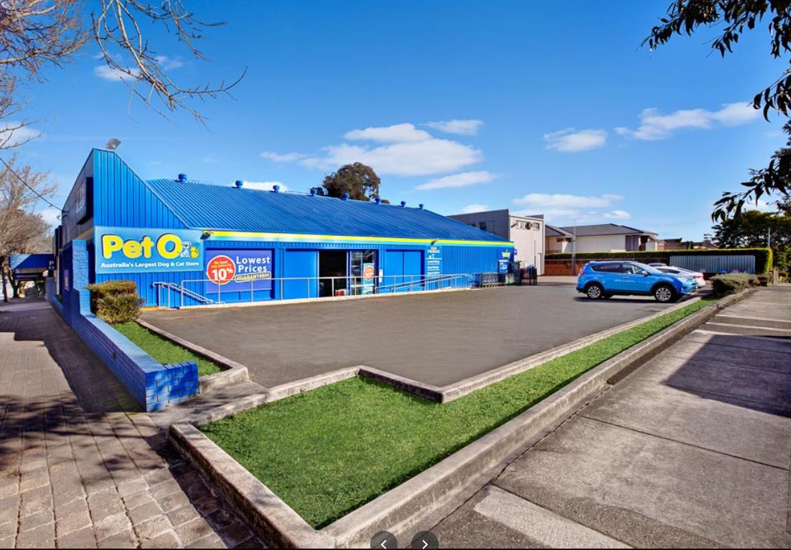 PetO Pet Store in Chatswood Pupsy