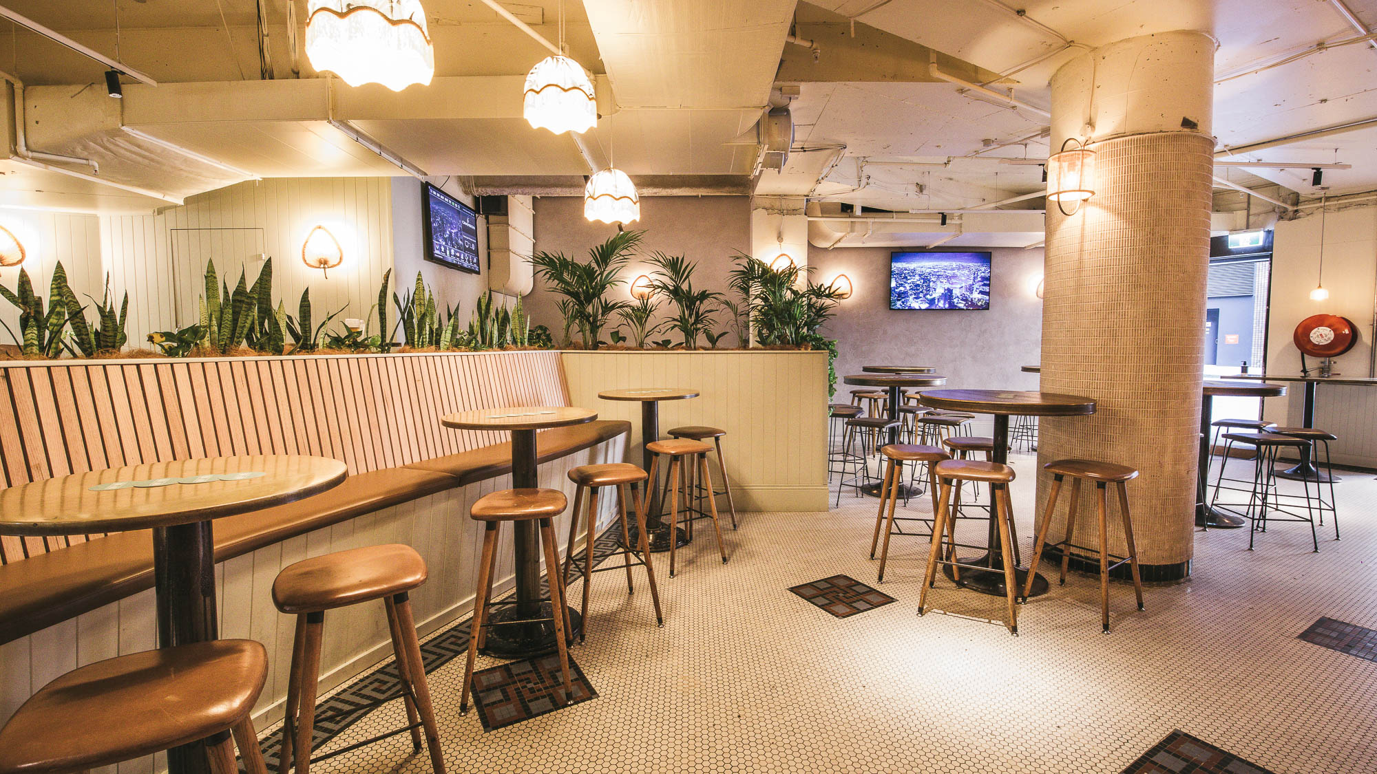 Kent St Hotel Dog Friendly Pub in Sydney Pupsy