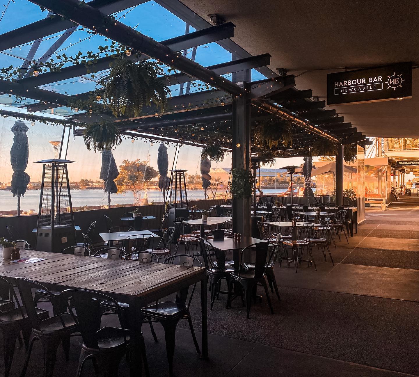 Harbour Bar Dog Friendly Bar in Newcastle Harbour Pupsy