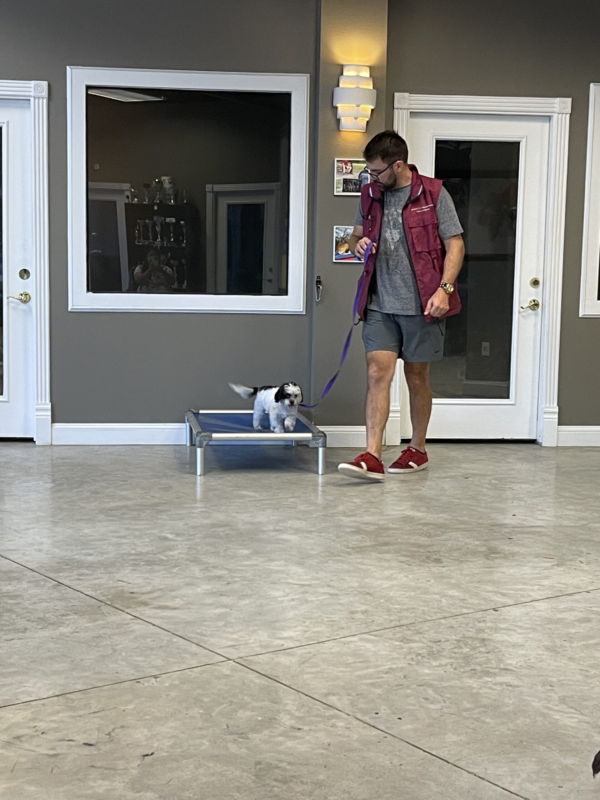 Puptown Dog Training Houston, TX