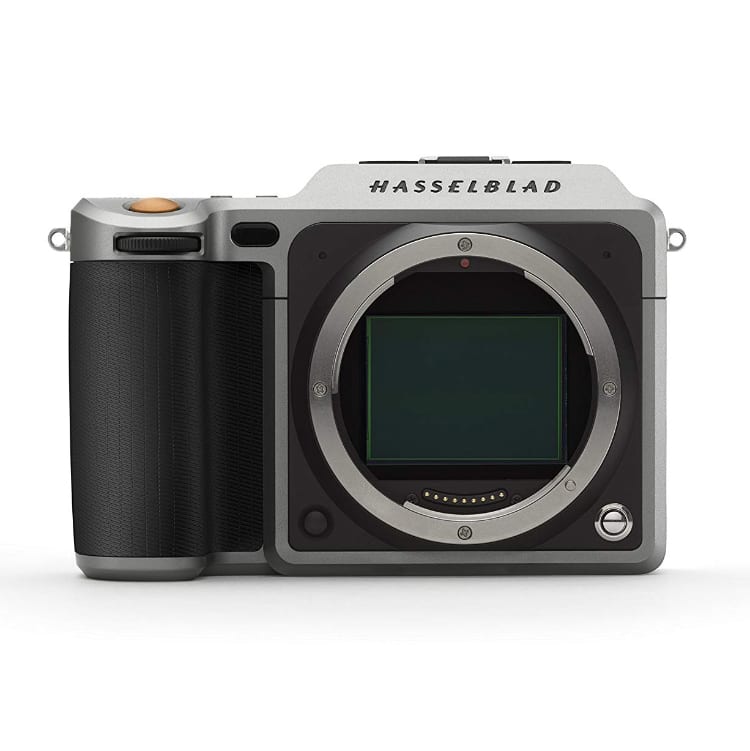 Best Cameras for Pet Photography For All Skill Levels (Updated 2020)