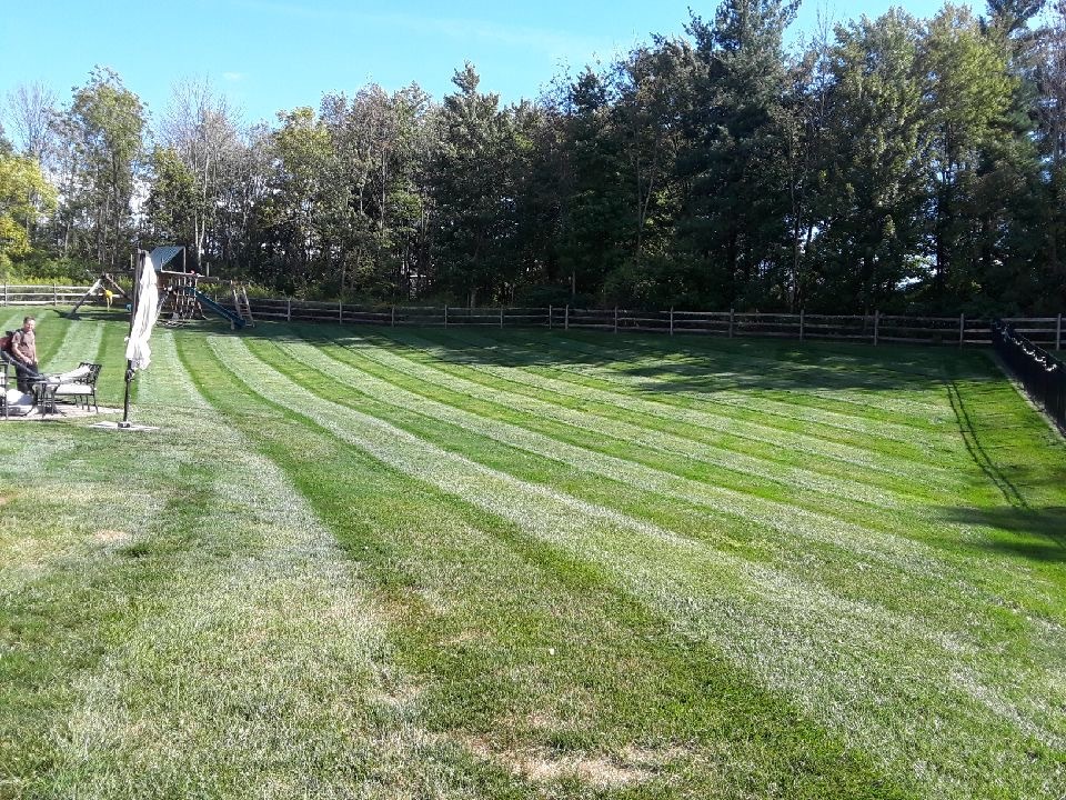 Lawn Moving Pura Vida Landscaping