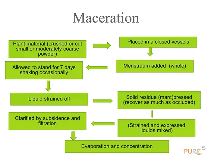 Maceration Plant Extraction Explained Unlocking the Potential