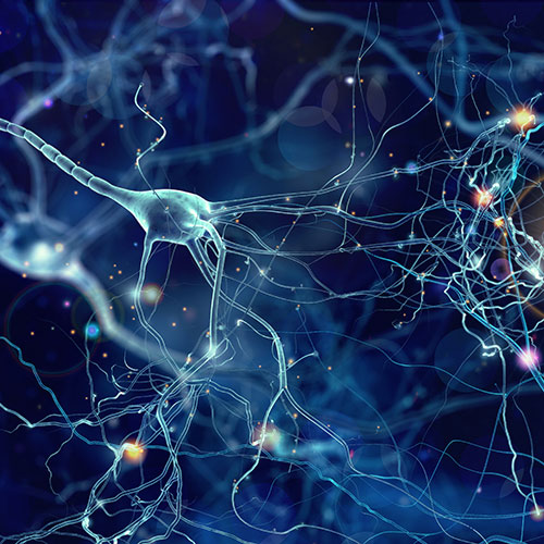 Researchers Explore Differential Evolution Optimization for Machine