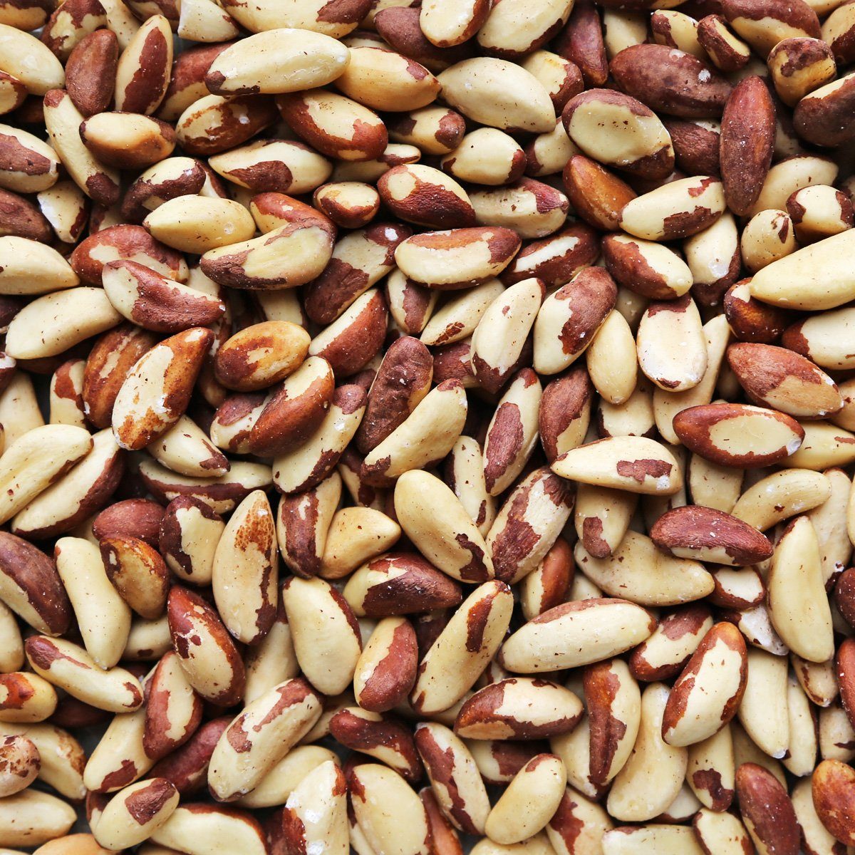 Organic Brazil Nuts American Nuts Supply