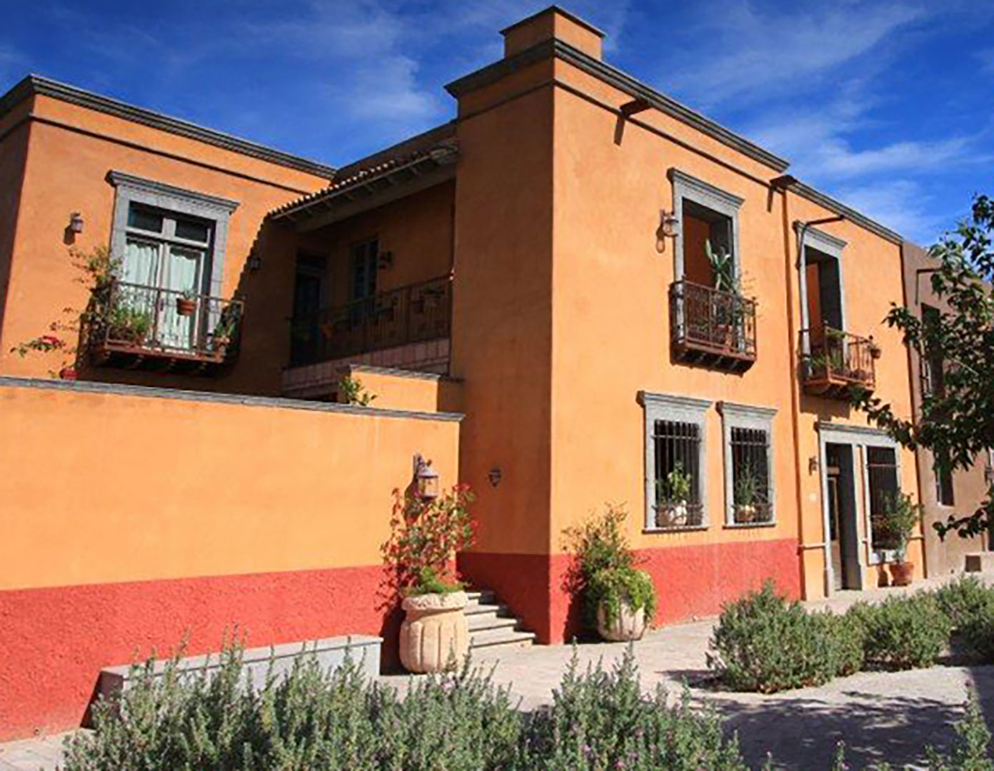 Mercado District PureBuild