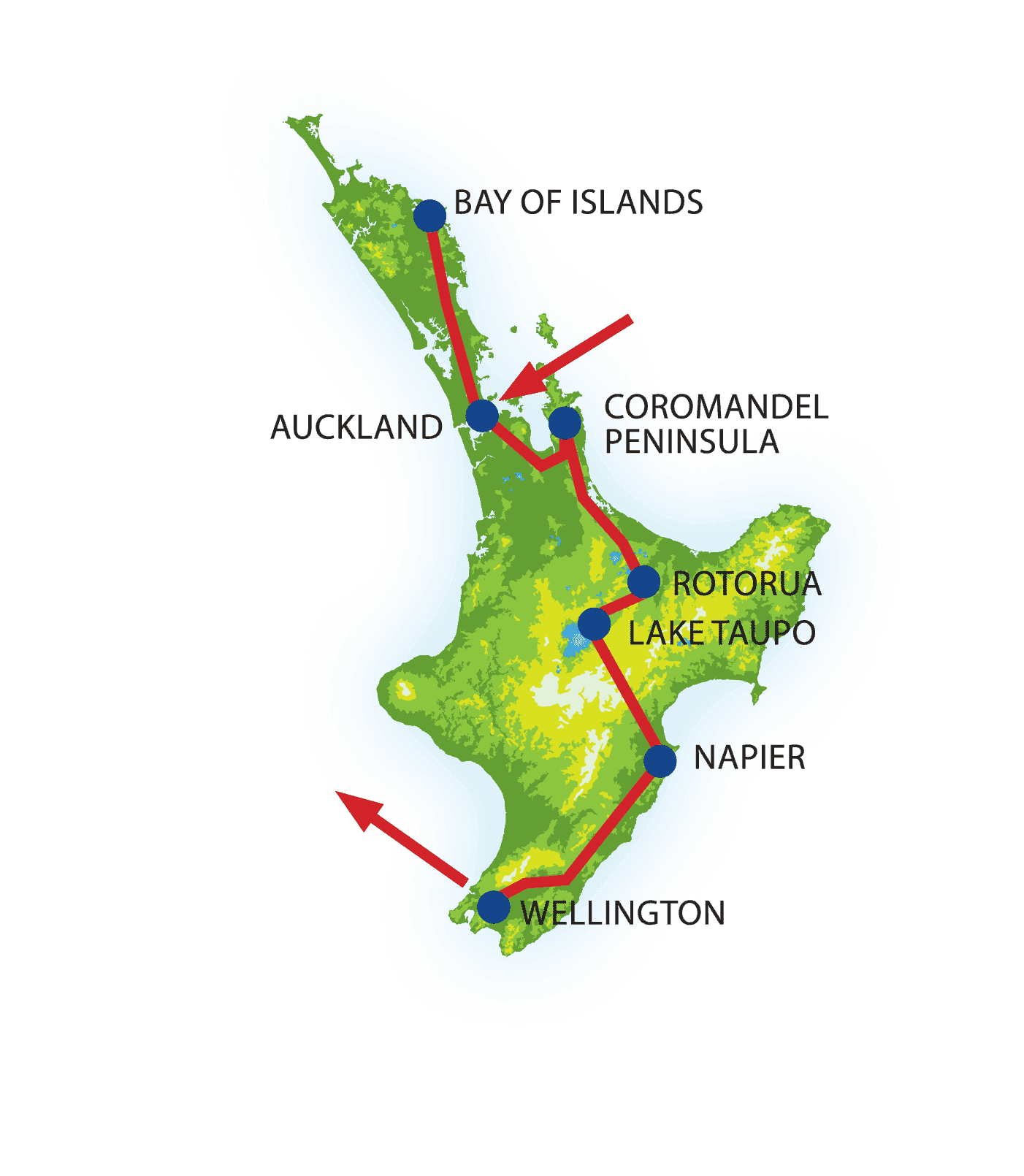 Koromiko Tour Pure Discoveries