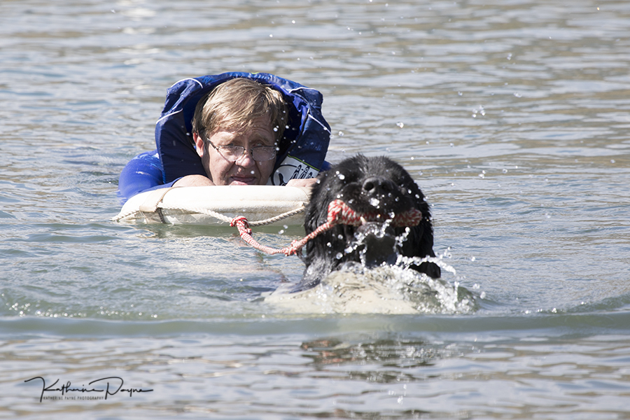 Heroic Newfoundland Dogs Water Rescue with Lou Ann Lenner and Sue Raney