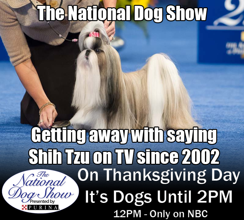 Thanksgiving Day Dog Show 2023 Story Of How Nbc Got The Dogs|Jon Miller|Pure Dog Talk