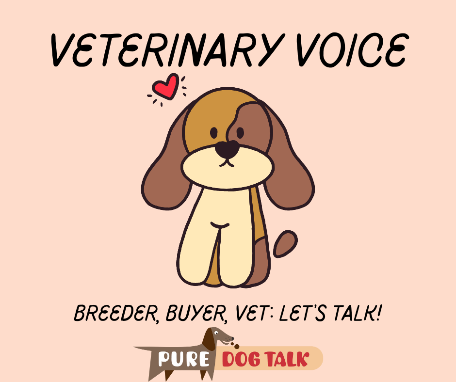 532 — Breeder, Buyer, Vet Let’s TALK! Pure Dog Talk