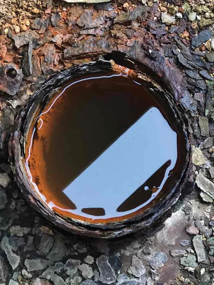Why is Brown Water in Toilet and How to Fix it?