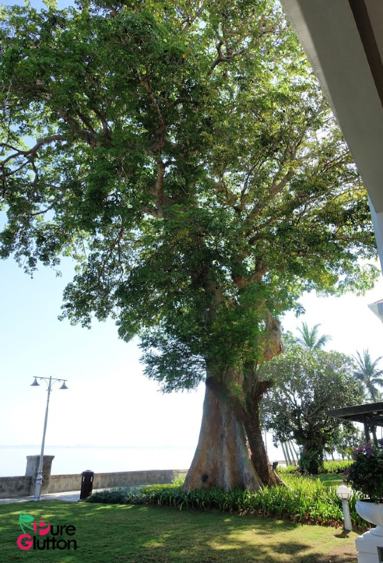 The Eastern & Oriental Hotel Penang Experience The