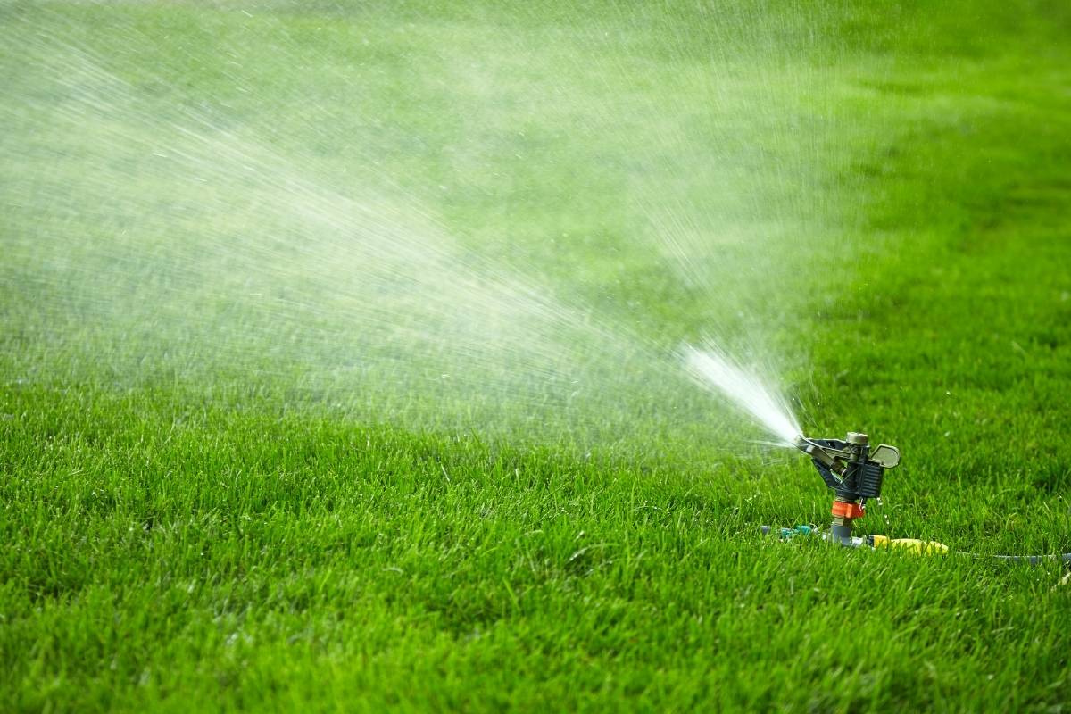 Lawn Care Management Top 3 Watering Tips Nashville Lawn Care Pure