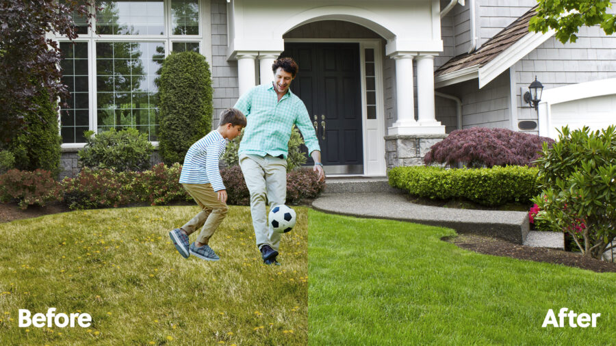 Nashville Lawn Care Pure Green LLC Lawn Services in Tennessee