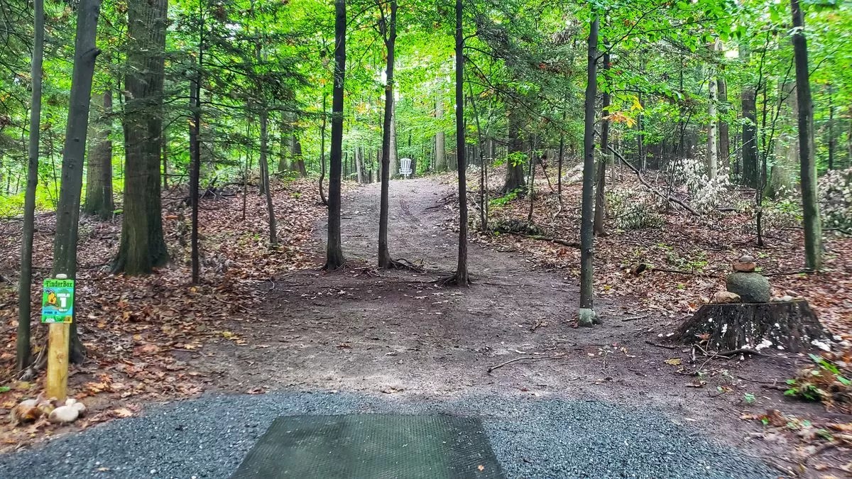 Mason County Park Disc Golf Course Pure Ludington