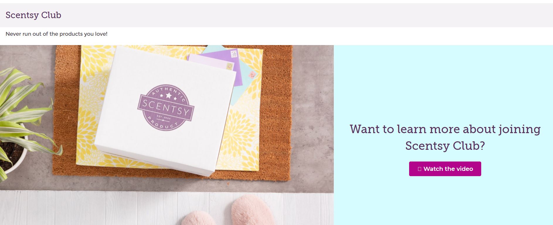 With Scentsy Dashboard App, You Can Manage Your Orders, Events