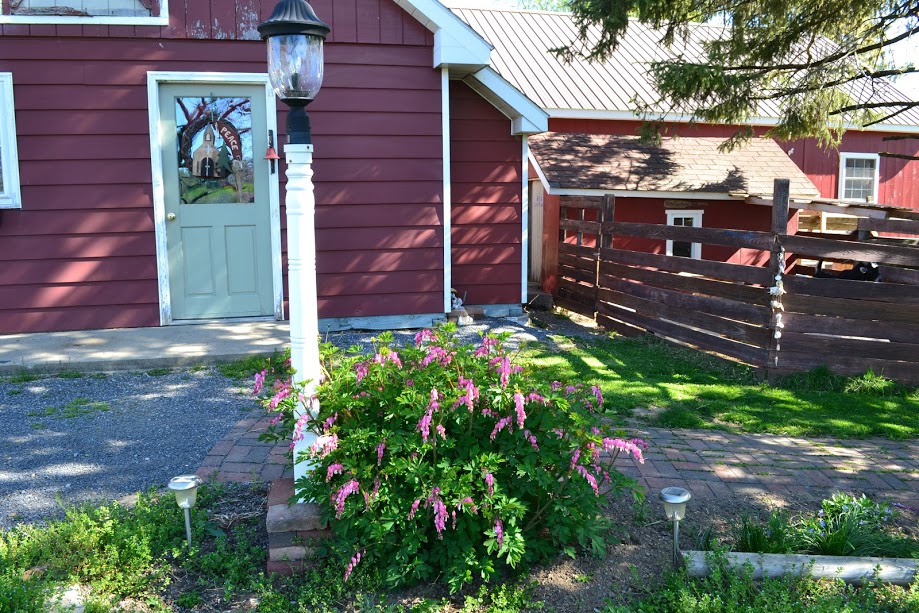 Farmette for Sale New Creations Farm