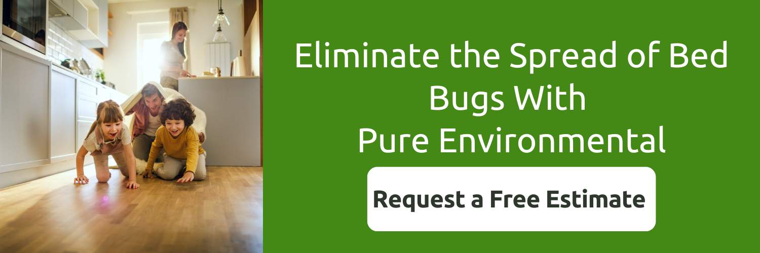 How Fast Do Bed Bugs Spread? Pure Environmental