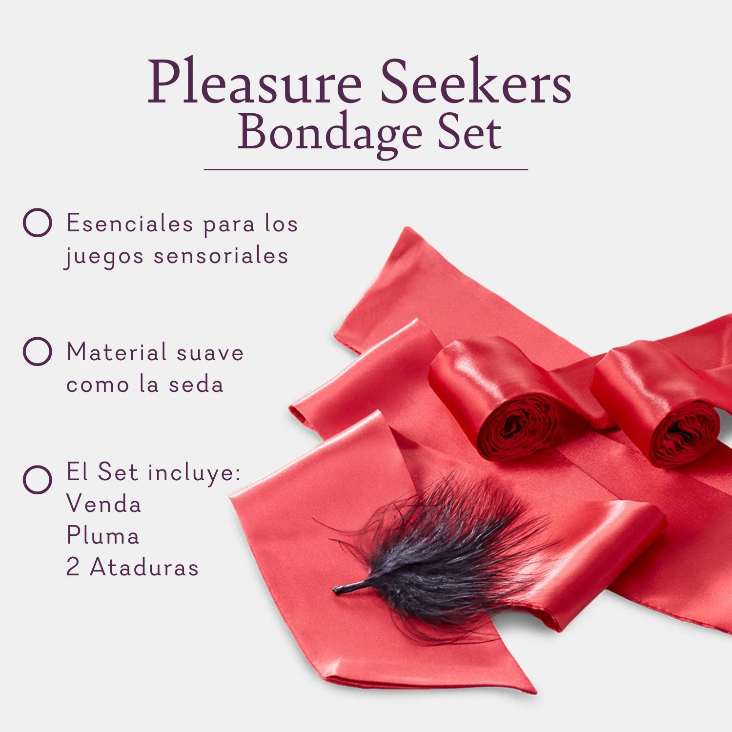Pleasure Seekers Play Set Pure Romance