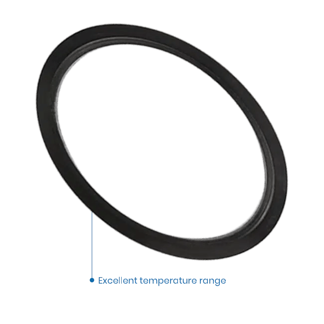 EPDM Gasket Pure Transfer