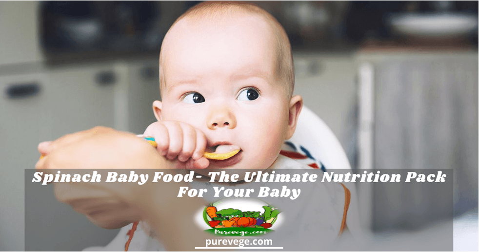 Spinach Baby Food The Ultimate Nutrition Pack For Your Baby
