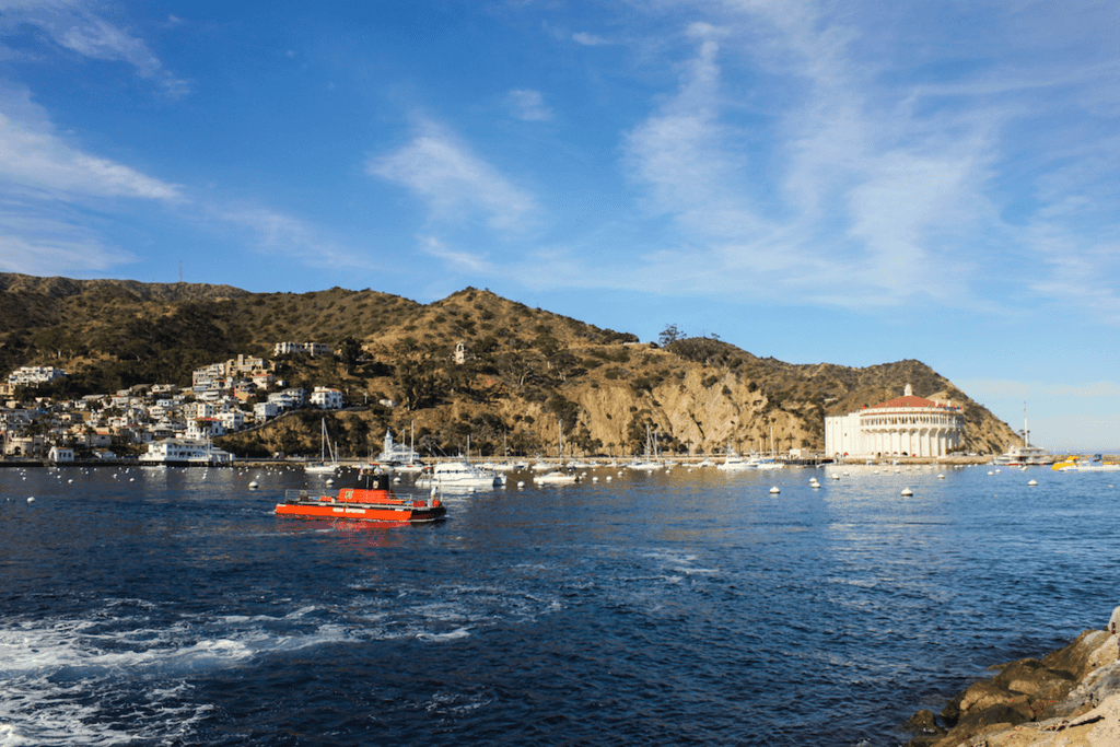 Winter Sun and Catalina Island Fun in Califorina Pure Wander