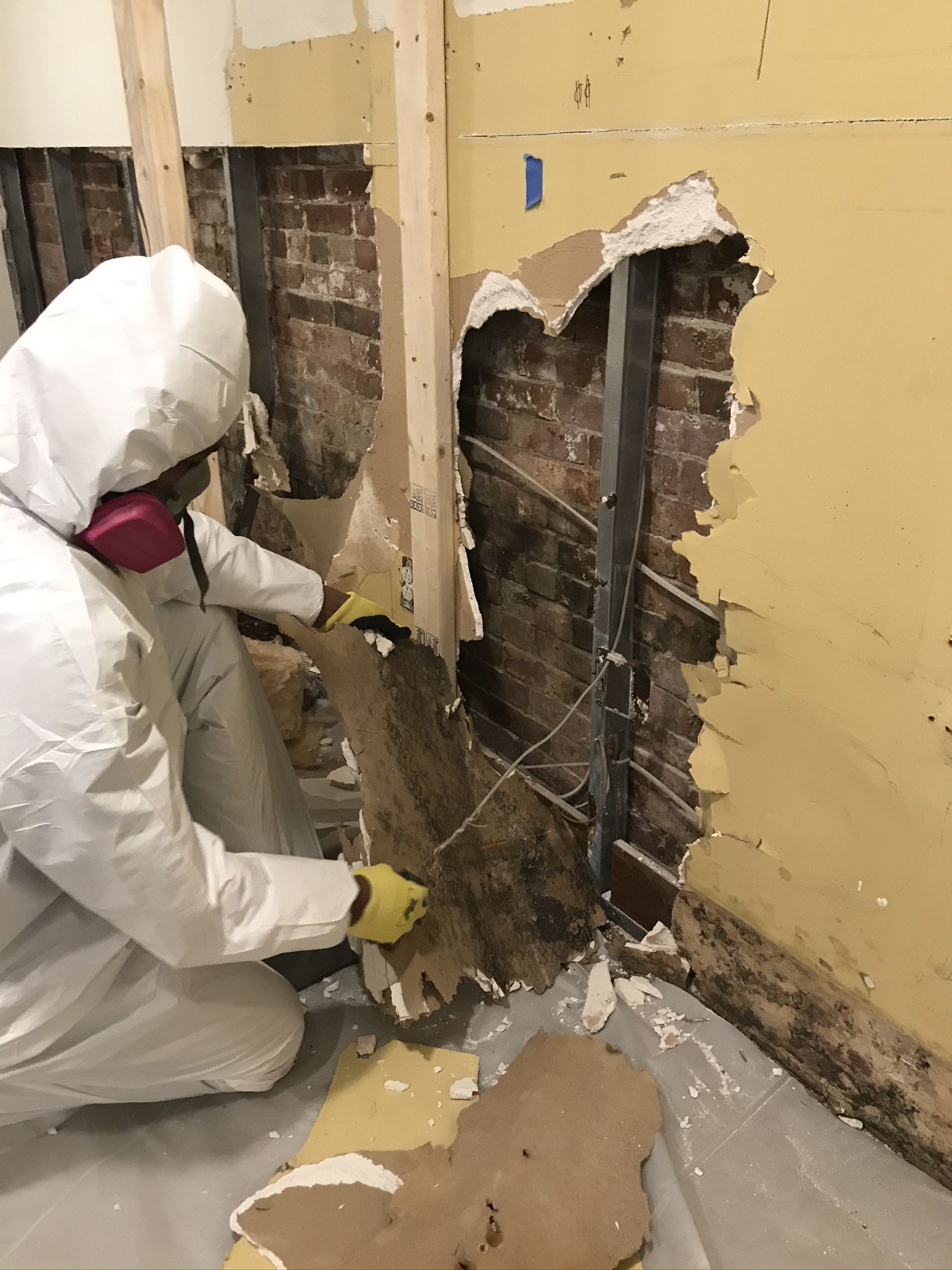 Mold Remediation Puritan Restoration Norwood MA 7814495552