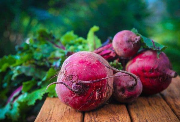Comment congeler les betteraves pour l’hiver au congélateur: tous les  moyens de stocker le produit