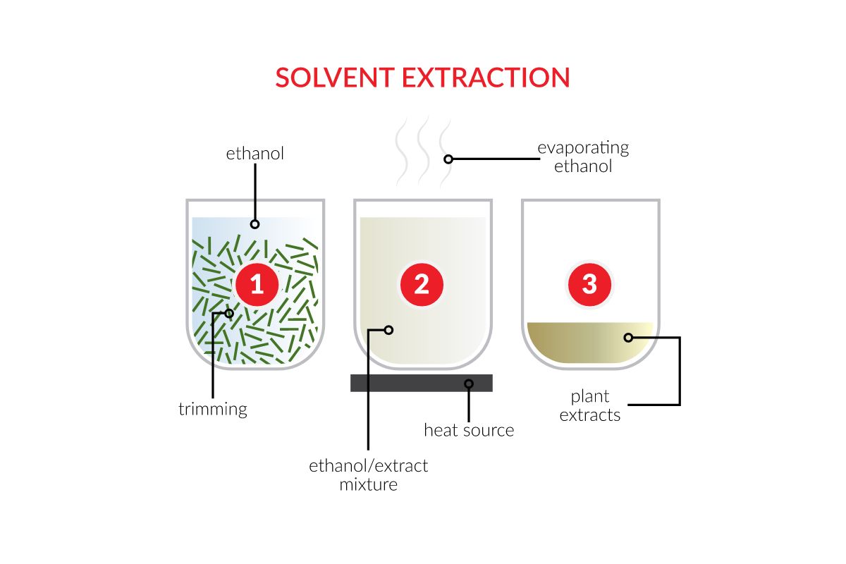CBD Extraction Methods: A Complete Guide | Purity Hemp