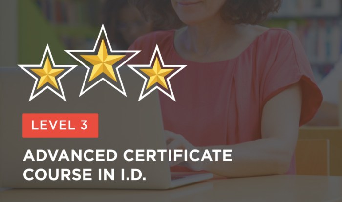 Advanced Certificate Course in ID: Level 3 - ID Mentors A+ cert course