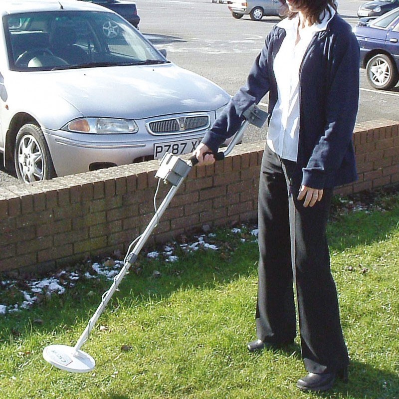Metal Detector Purple Hire Solutions