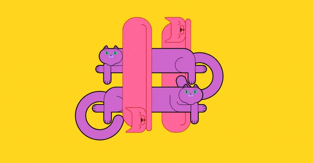 Best Cat Hashtags For Instagram Purrfectly Whiskey